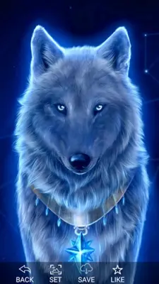 Wolf Wallpapers Offline android App screenshot 2