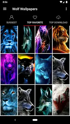 Wolf Wallpapers Offline android App screenshot 3