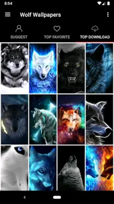 Wolf Wallpapers Offline android App screenshot 4