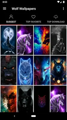 Wolf Wallpapers Offline android App screenshot 5